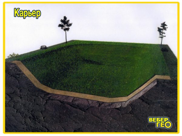 Биомат БТ СО/80 (1,55х25; 80 г/м2 семян) 5