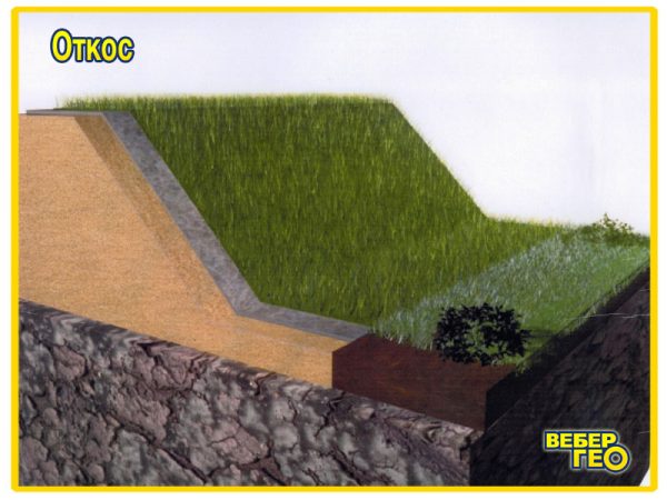 Биомат БТ СО/60 (1,55х25;60 г/м2 семян) 3