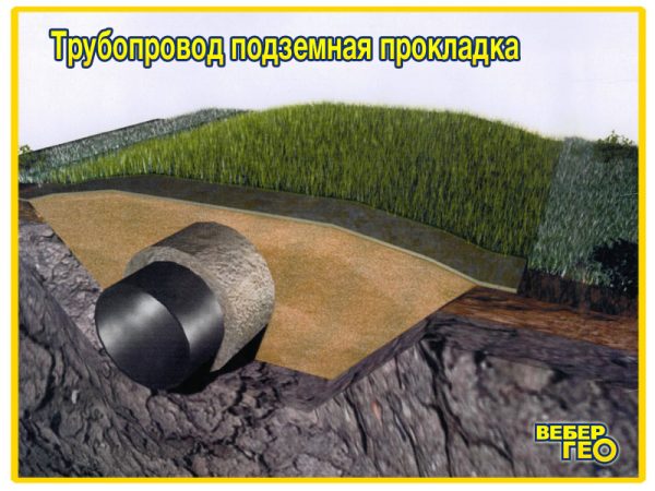 Биомат БТ СО/80 (1,55х25; 80 г/м2 семян) 3