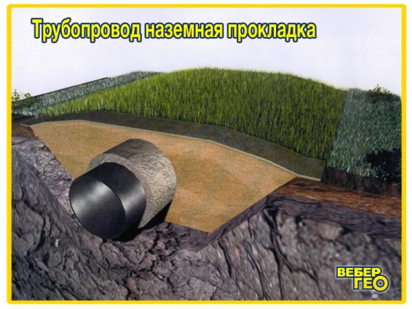 Биомат БТ СО/80 (1,55х25; 80 г/м2 семян) 2